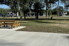 Legacy-pic1